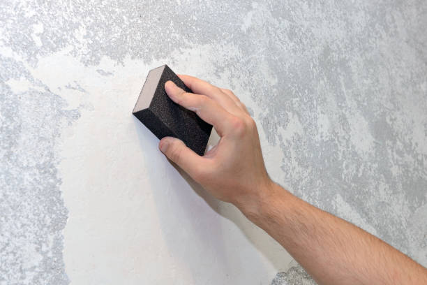 Best Mold Remediation for Healthcare Facilities  in Union City, MI