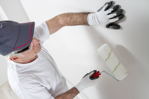 Best Biohazard Mold Removal  in Union City, MI