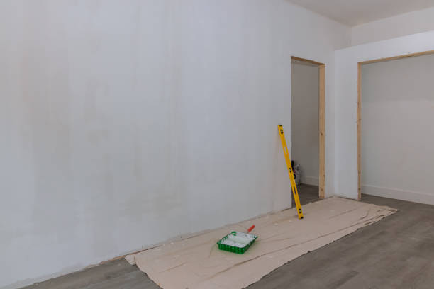 Best Mold Damage Restoration  in Union City, MI