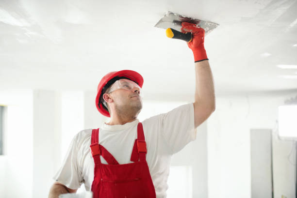 Mold Remediation for Vacation Homes in Union City, MI