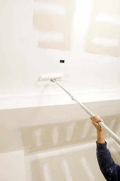 Best Mold Remediation for Vacation Homes  in Union City, MI