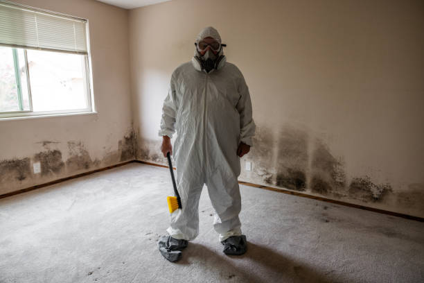 Best Industrial Mold Remediation  in Union City, MI